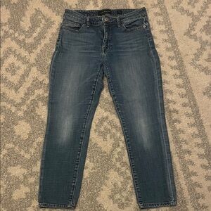 Lucky Brand Hayden Skinny Jeans